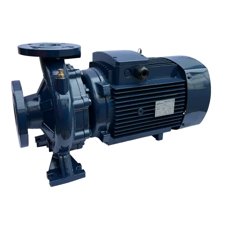 Циркуляционный насос MAXPUMP F 32-200/55