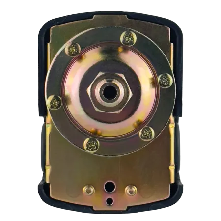 Реле давления MAXPUMP PS-02 (п)